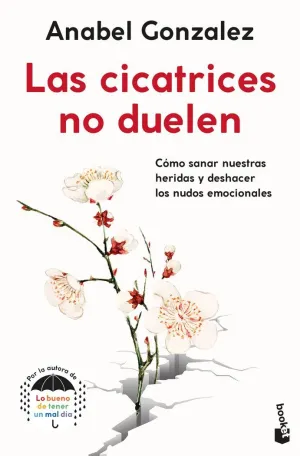 LAS CICATRICES NO DUELEN - COMO SANAR NUESTRAS HER