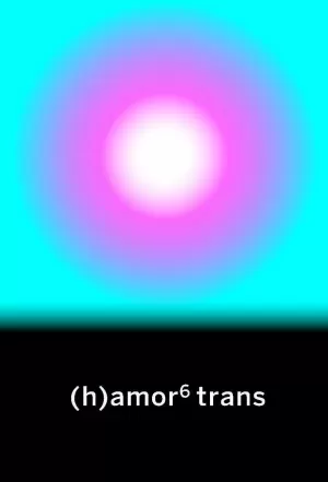 (H)AMOR 6 TRANS