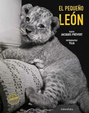 EL PEQUEÑO LEÓN