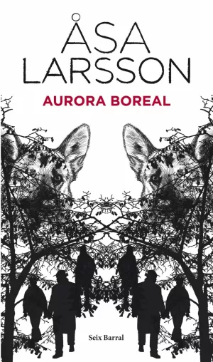AURORA BOREAL