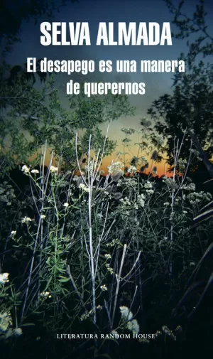 EL DESAPEGO ES UNA MANERA DE QUERERNOS (MAPA DE LAS LENGUAS)