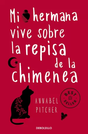 MI HERMANA VIVE SOBRE LA REPISA DE LA CHIMENEA