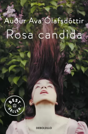 ROSA CANDIDA