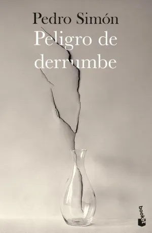 PELIGRO DE DERRUMBE