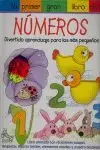 MI PRIMER GRAN LIBRO DE LOS NÚMEROS