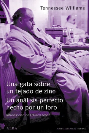 GATA SOBRE UN TEJADO DE ZINC, UNA