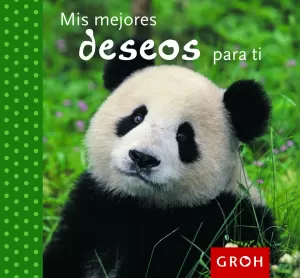 MIS MEJORES DESEOS PARA TI